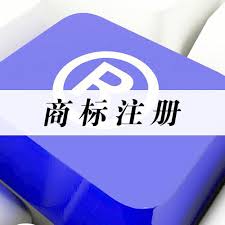 国内商标异议流程