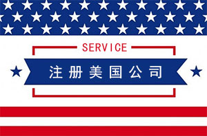 注册美国特拉华公司